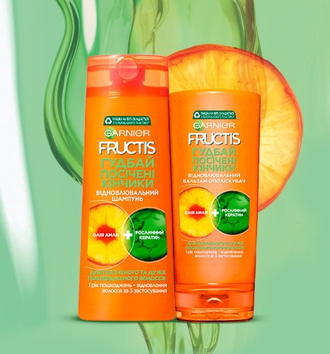 466x500 fructis GSE
